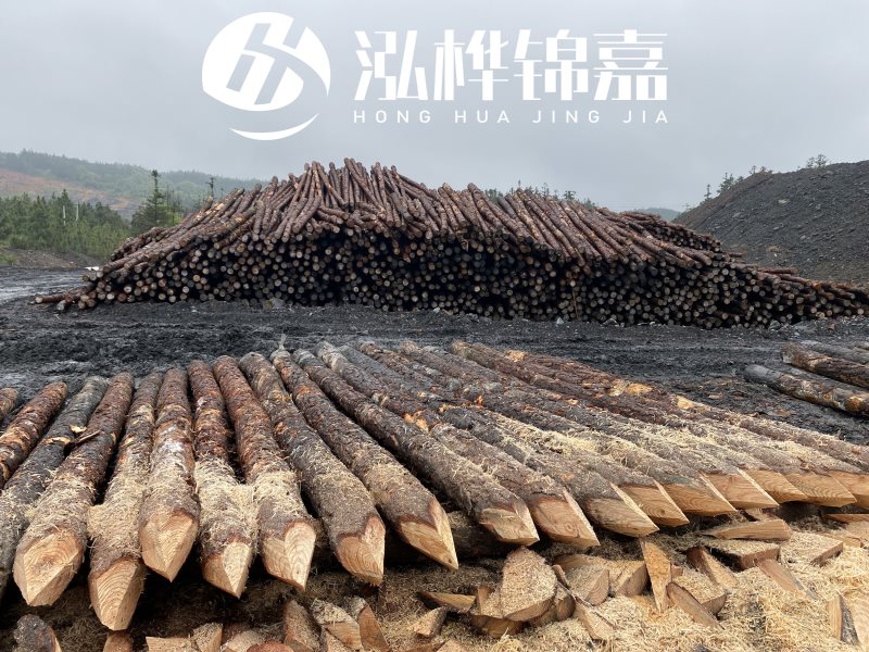 6米長松木樁有哪些作用，多少錢一根？