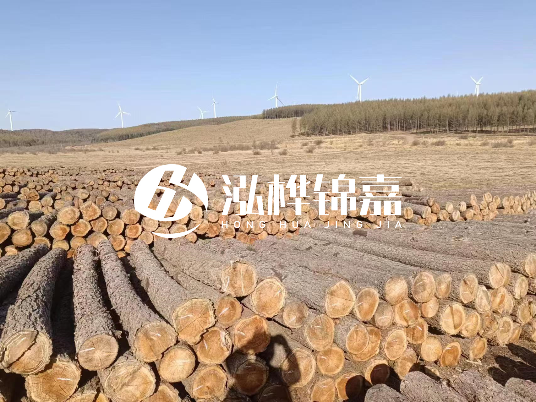咸寧松木樁源頭廠(chǎng)家-哪里能買(mǎi)到質(zhì)量好的松木樁打樁木？